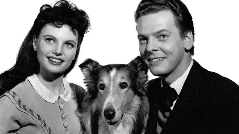 El desafío de Lassie - Fondo