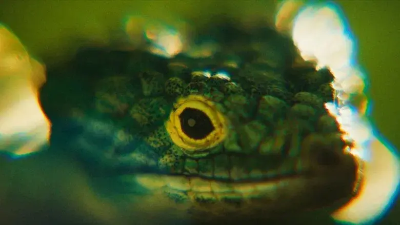 Parpadea dos veces - Fondo