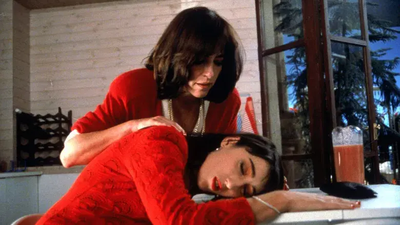 Mujeres al borde de un ataque de nervios - Fondo