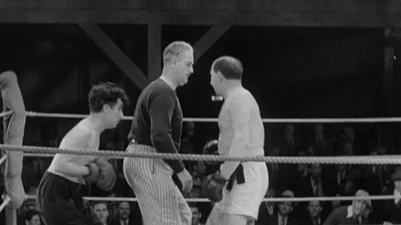 Luces de la ciudad - Fondo