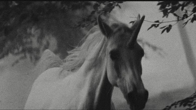 Blade Runner - Fondo