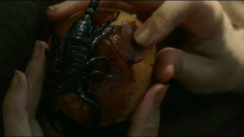 El Hijo del Carpintero - Fondo