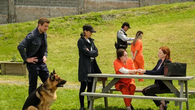 Episodio 7