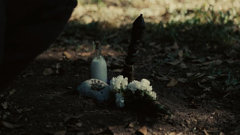 Los pecadores - Fondo