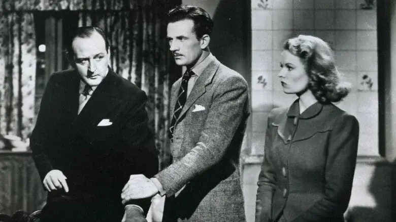 Las vacaciones del Santo - Fondo