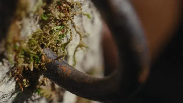 Los chicos de la Nickel - Fondo