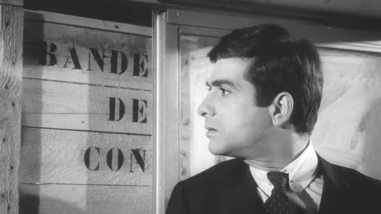 Carambolages - Fondo