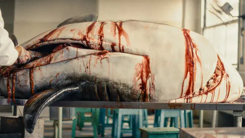 El agente secreto - Fondo