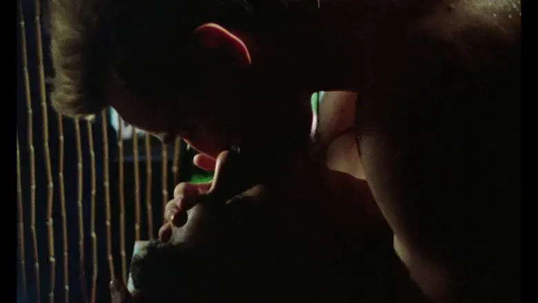 Mi hermosa lavandería - Fondo