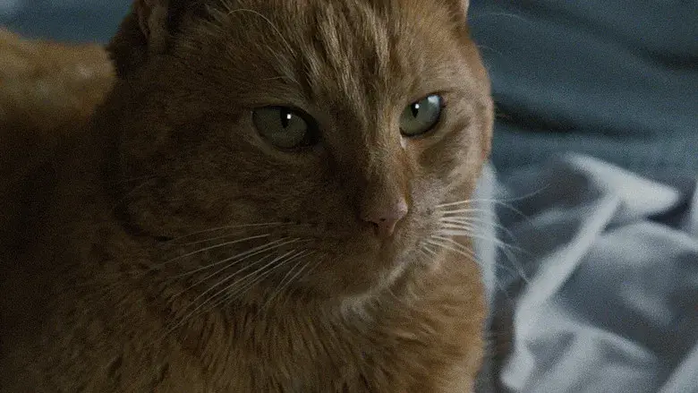 Aliens: El regreso - Fondo