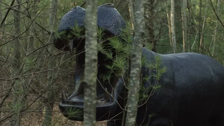 Puñales por la espalda - Fondo