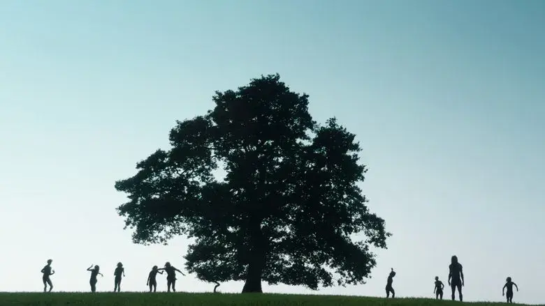 28 años después - Fondo