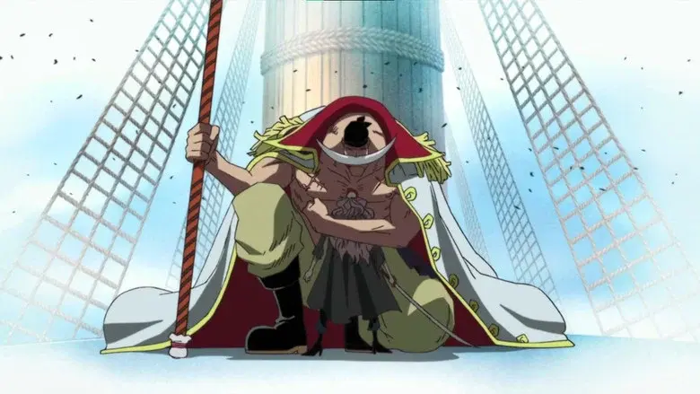 ¡La conspiración de Akainu! Shirohige cae en la trampa