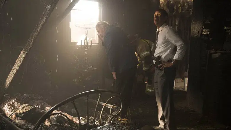 Yo grito, tú gritas, todos gritamos