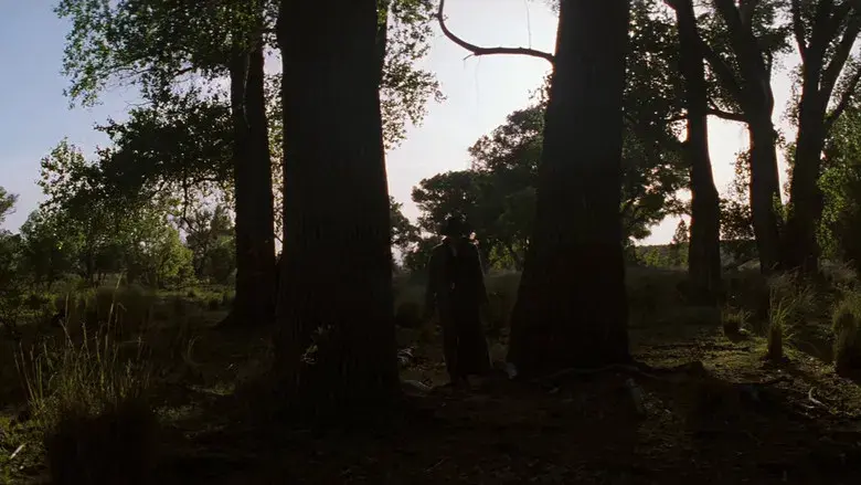 Tombstone: La leyenda de Wyatt Earp - Fondo