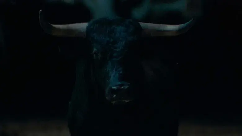 Tardes de soledad - Fondo