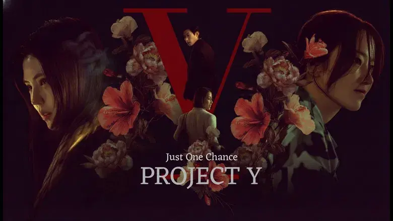 Project Y - Fondo