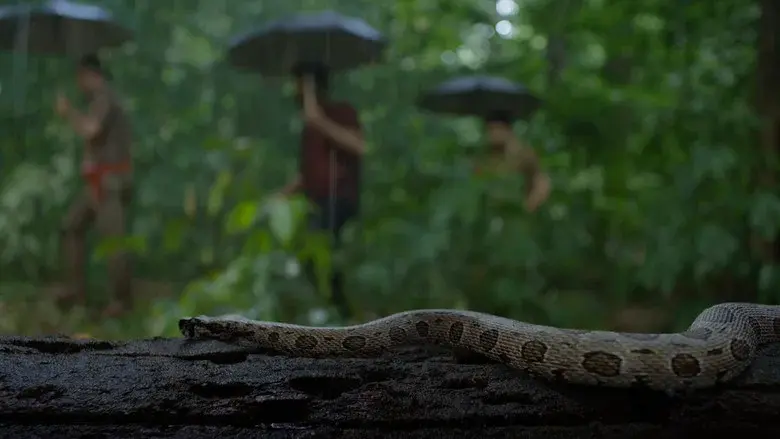 സംഭവം അദ്ധ്യായം ഒന്ന് - Fondo