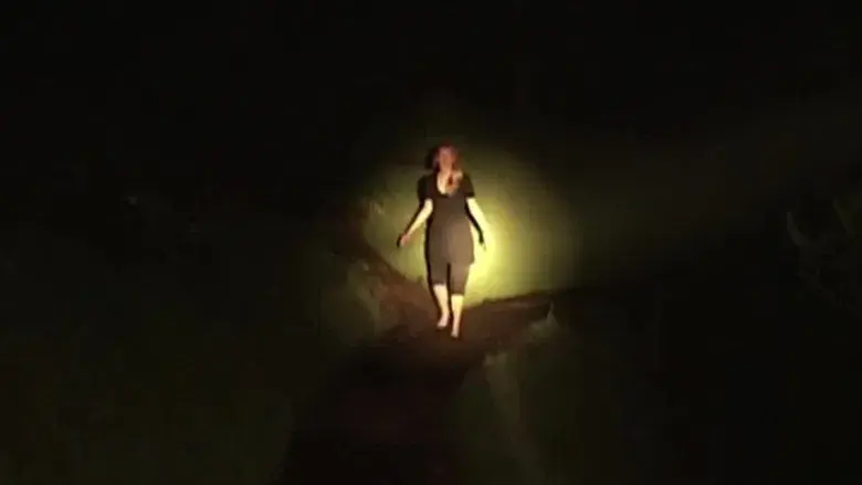 Inland Empire - Fondo