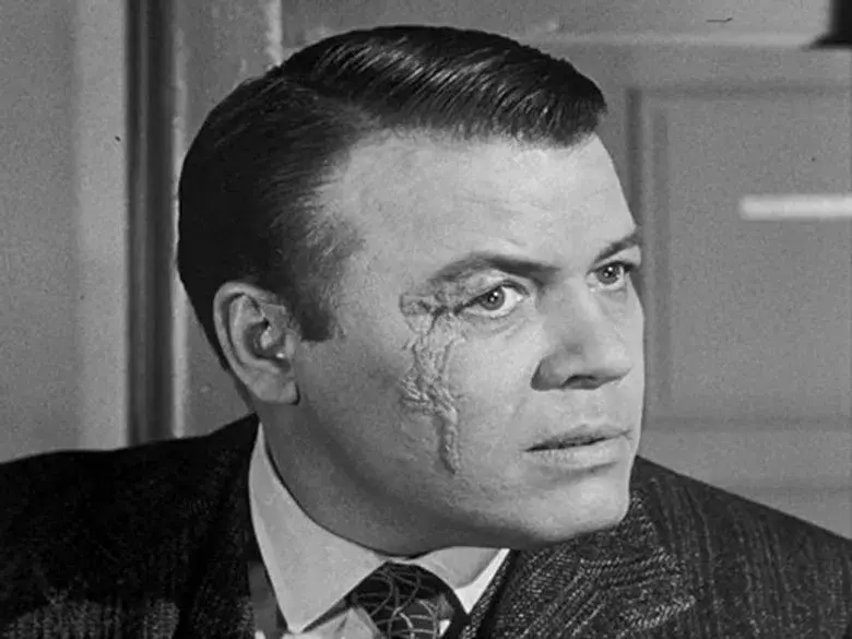 El Ayudante de Carnicero