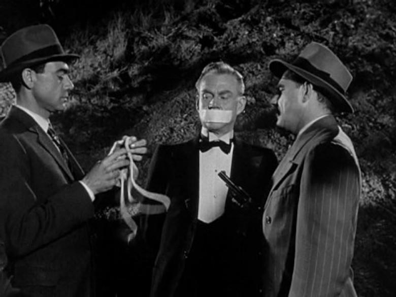 La Historia de Lily Dallas