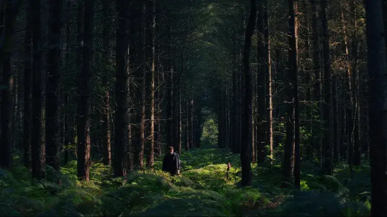 Puñales por la espalda: De entre los muertos - Fondo