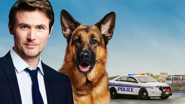 Hudson & Rex - Fondo