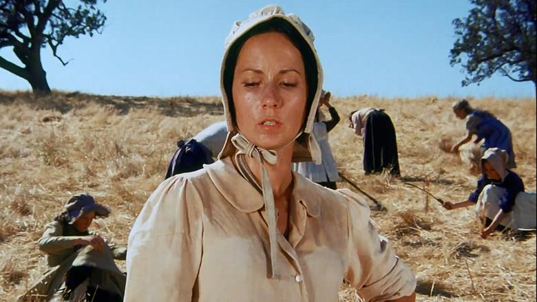 Una caminata de 100 millas