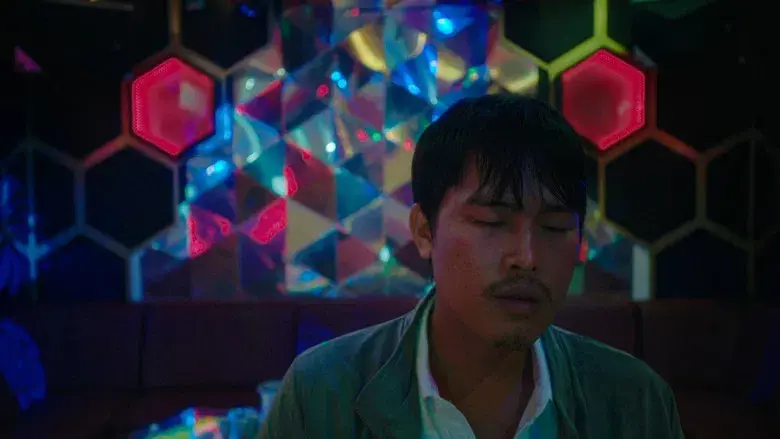 Bên Trong Vỏ Kén Vàng - Fondo