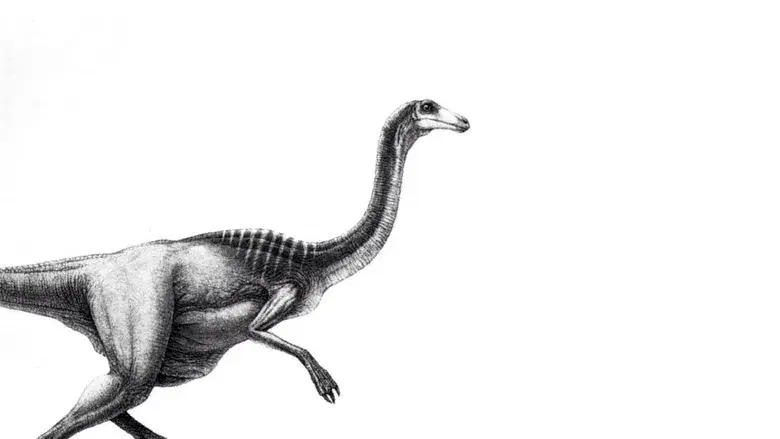 Jurassic Park (Parque Jurásico) - Fondo