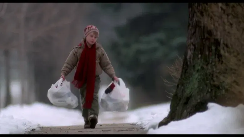 Solo en casa - Fondo