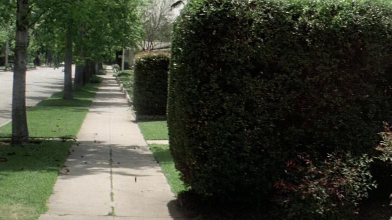 La noche de Halloween - Fondo