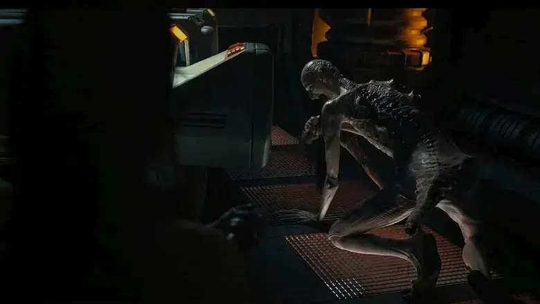 Alien: Romulus - Fondo