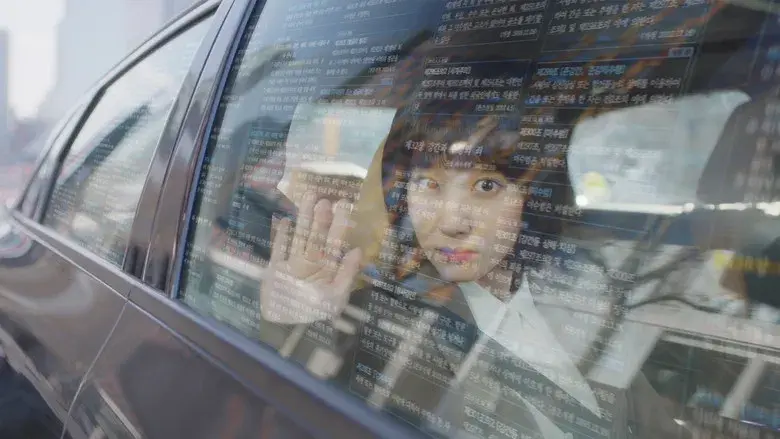 Woo, abogada extraordinaria - Fondo