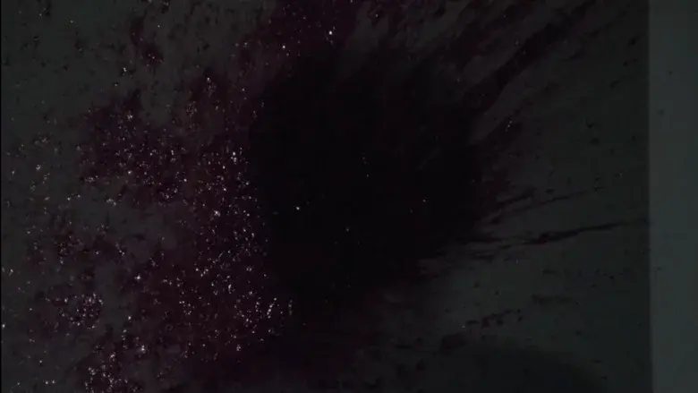 XX 美しき機能 - Fondo