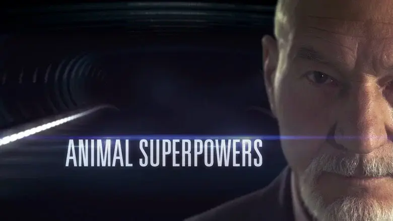 Animal Superpowers - Fondo