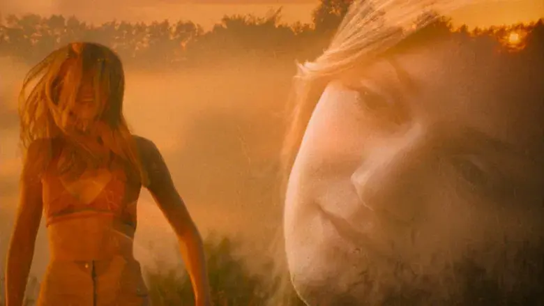 Las vírgenes suicidas - Fondo