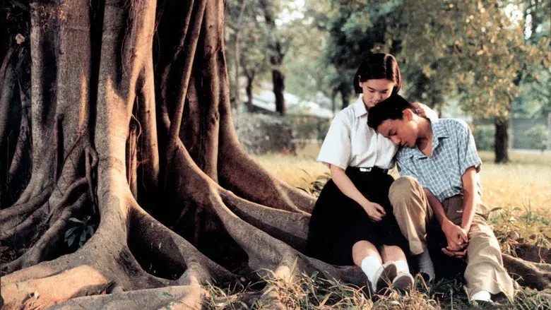 Un día de verano - Fondo