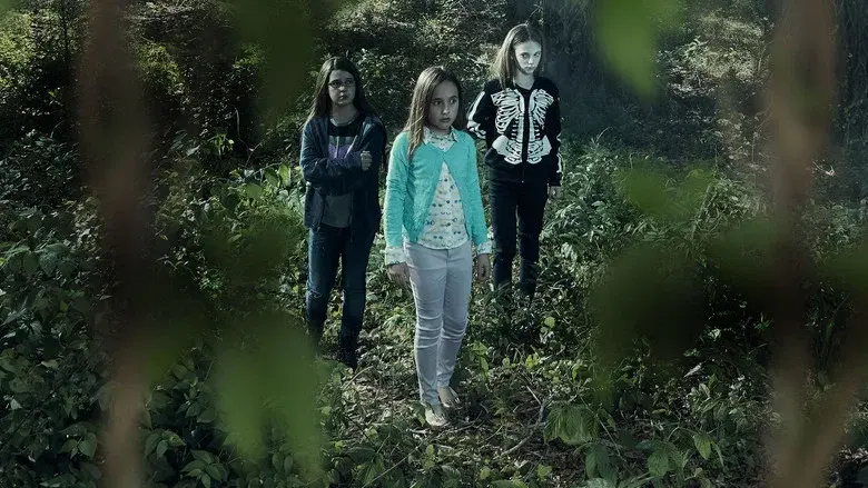Terror in the Woods - Fondo