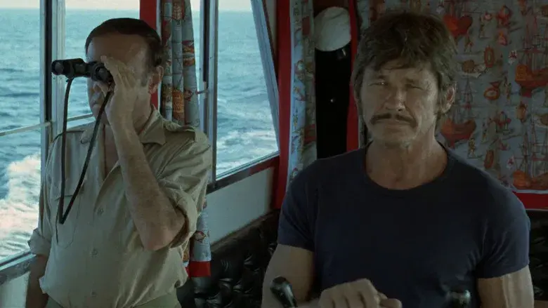 Cold Sweat - Backdrop