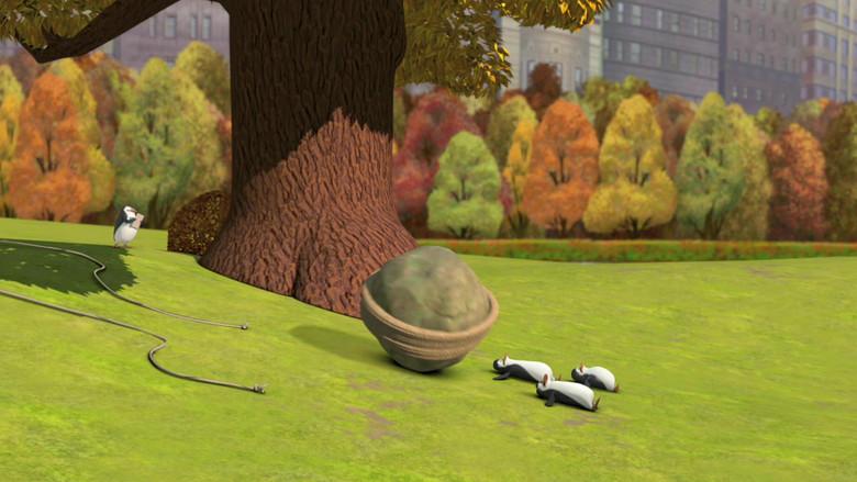 Un Arenque para Skipper