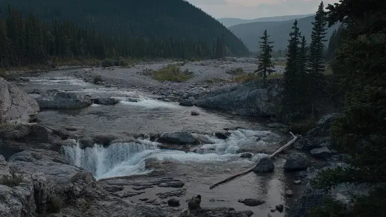 Predator: La presa - Fondo