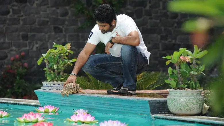 బృందావనం - Fondo