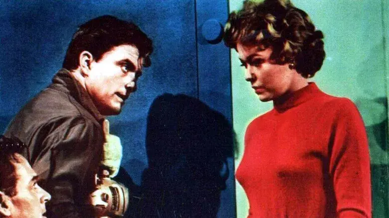 Valley of the Redwoods - Fondo