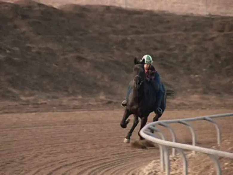 Ganador por una cabeza