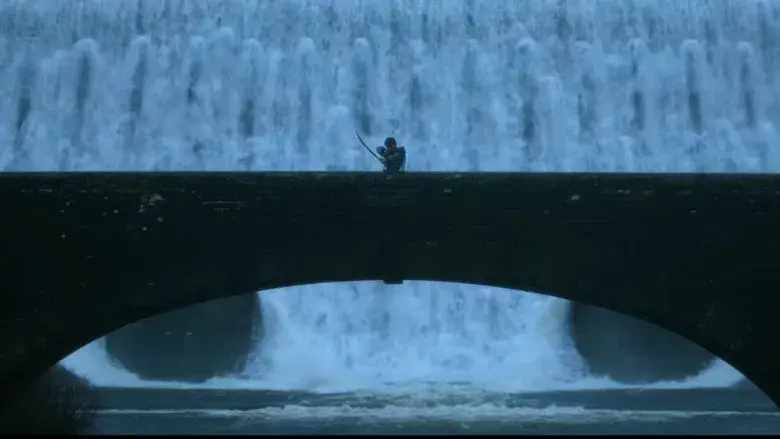 28 años después - Fondo