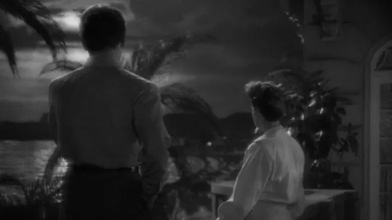 La extraña pasajera - Fondo