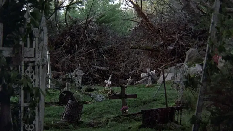 Cementerio viviente - Fondo