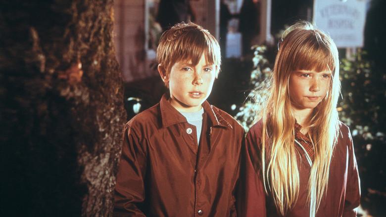 La montaña embrujada - Fondo