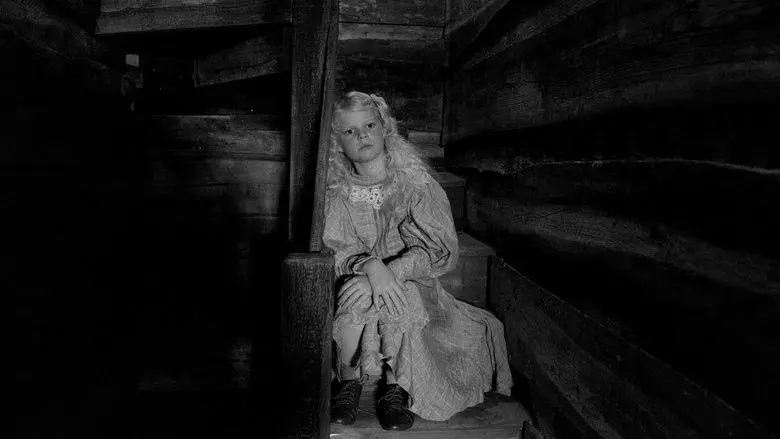 La chica de la aguja - Fondo